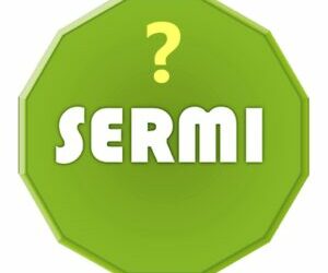 Cos’è il SERMI?